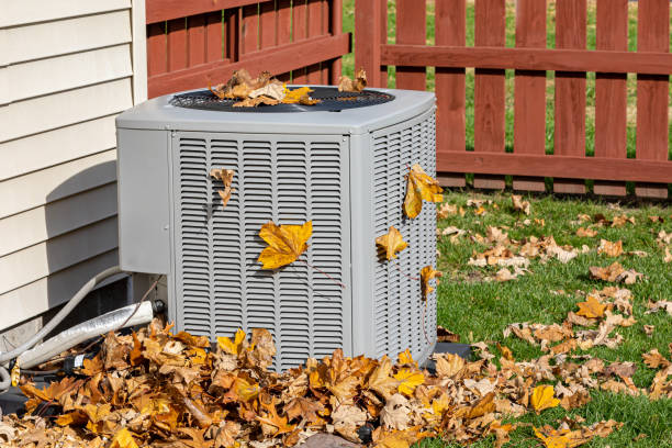 Best HVAC air duct cleaning  in Fern Park, FL